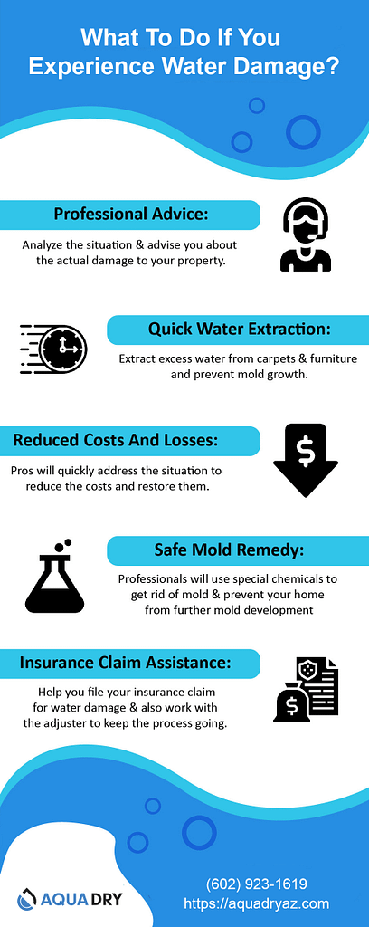 What-To-Do-If-You-Experience-Water-Damage-Infographic